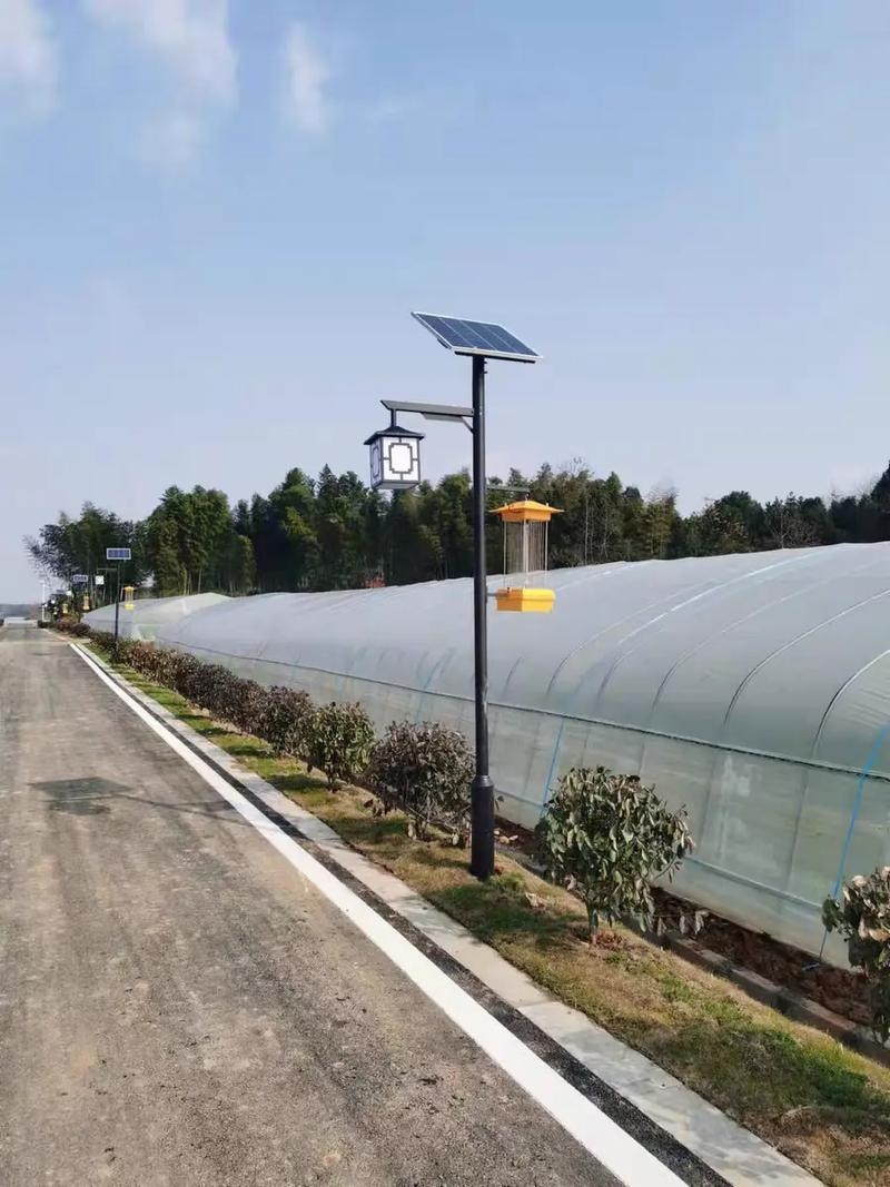 太阳能杀虫灯