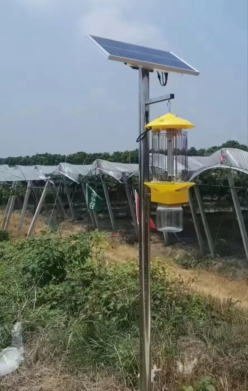 太阳能杀虫灯